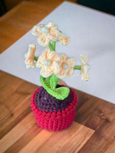Crochet | Handmade | Yellow| Forget Me Not | mini pot plants