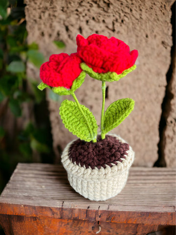Mini Rose Pot Plant | Crochet | Handmade