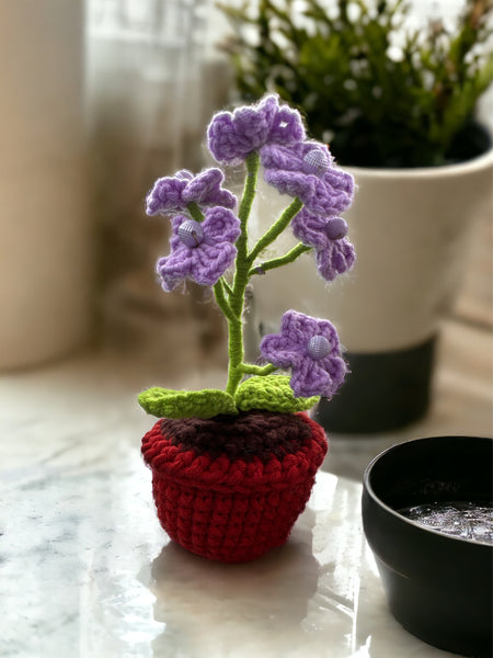 Forget Me Not Mini Pot Plant |Crochet | Handmade | Purple | Violet