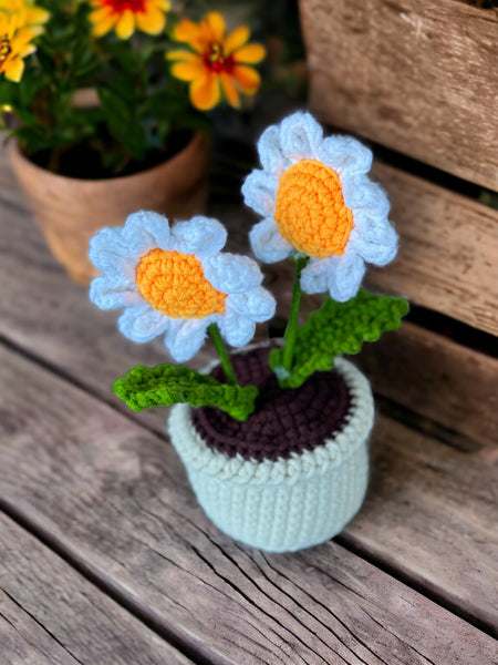 Crochet | Handmade| Daisy Mini Pot Plant