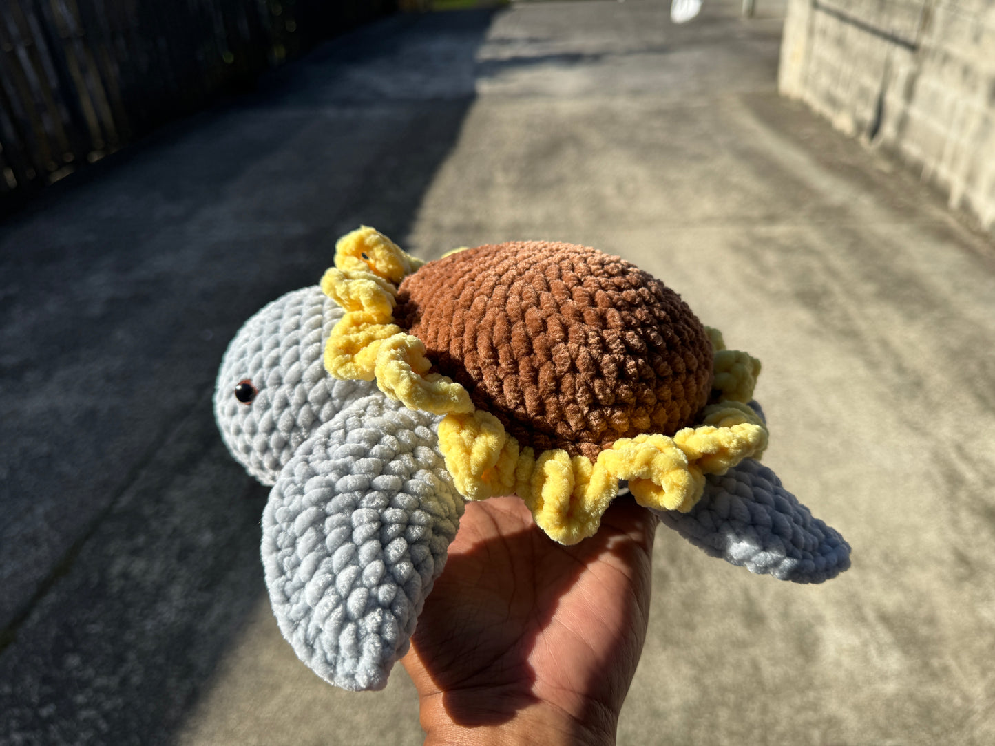 Sunflower Turtle