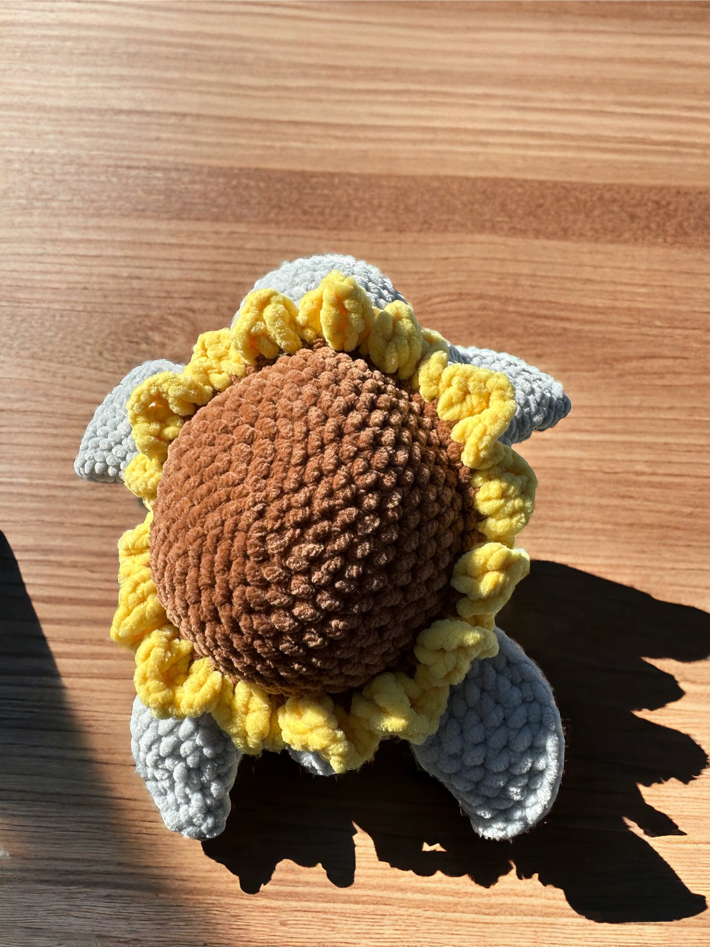 Sunflower Turtle